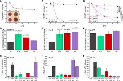 Characterization of Anti-Cancer Activities of Violacein: Actions on Tumor Cells and the Tumor Microenvironment